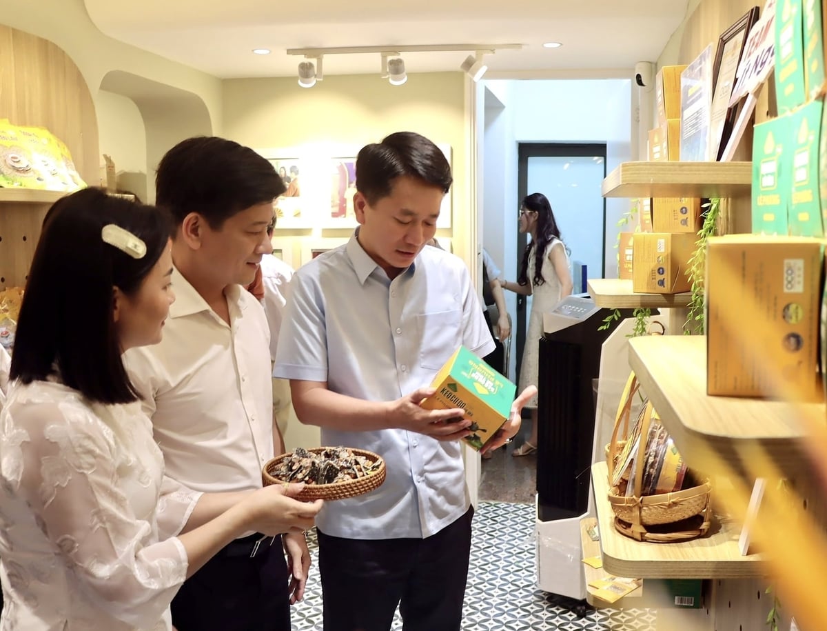 Chương trình 'Sức sống hàng Việt' số 5 chính thức khai mạc với chủ đề 'Tuần lễ sản phẩm Hà Tĩnh tại Thủ đô'. Ảnh: Bá Trung.