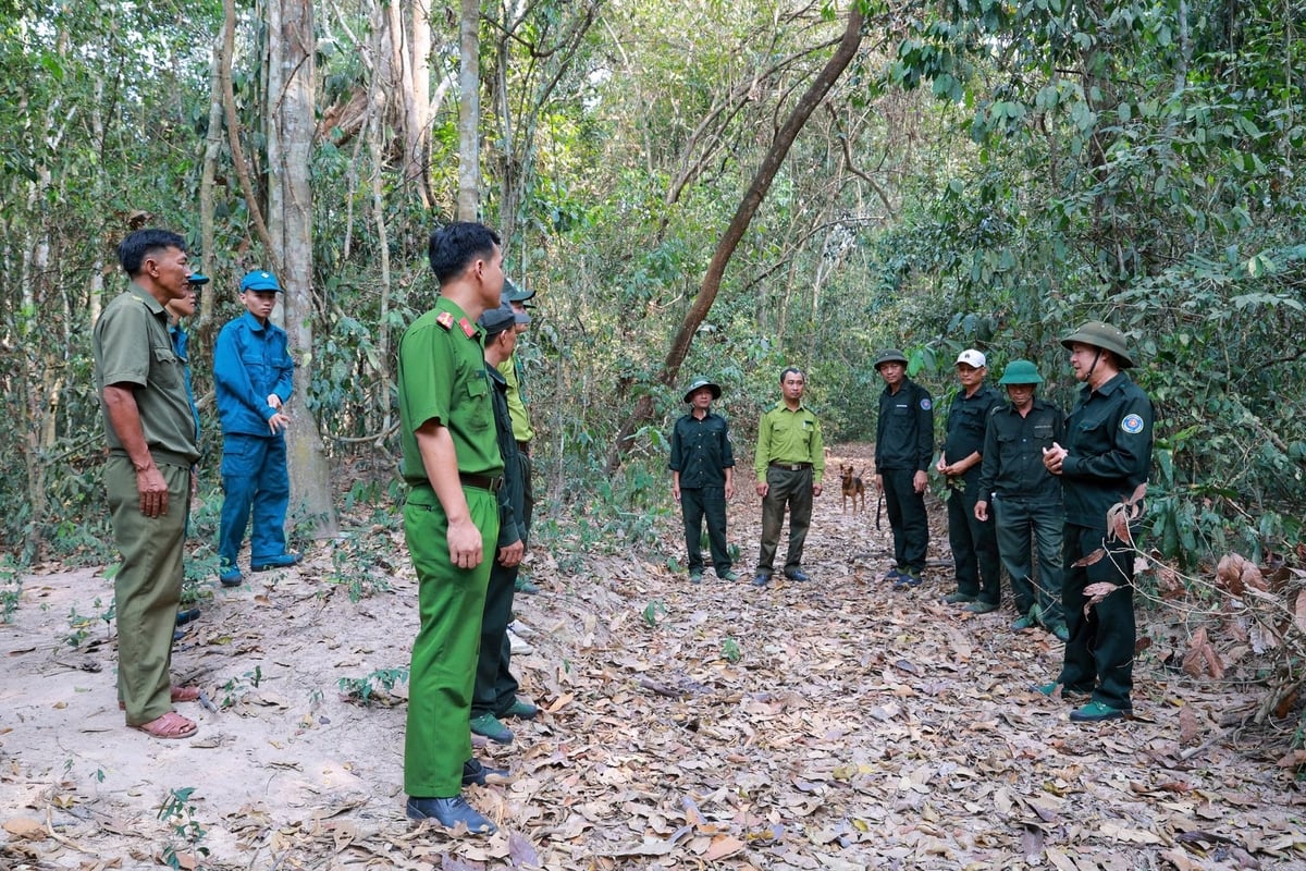 Lực lượng liên ngành tăng cường tuần tra tại các khu vực rừng trọng điểm, vùng giáp biên giới và những nơi có nguy cơ cháy cao. Ảnh: Trần Trung.