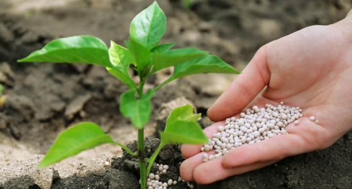 Kế hoạch nhằm thúc đẩy quá trình khử carbon ngành phân bón và giải quyết vấn đề chi phí ngày càng gia tăng, trong bối cảnh tác động từ xung đột Iran làm trầm trọng thêm tình trạng căng thẳng vốn có của thị trường. Ảnh: EU. 