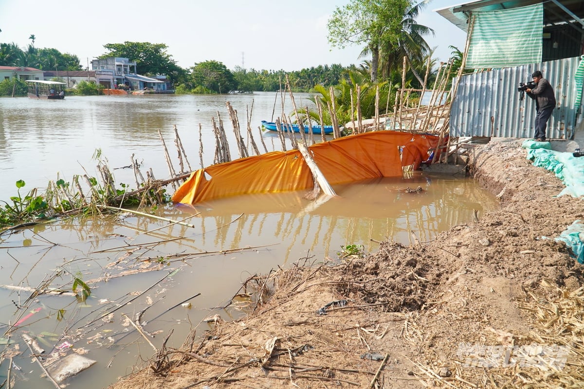 Điểm sạt lở bờ sông xảy ra tại ấp Phụng An (xã Nhơn Mỹ), khiến một đoạn lộ giao thông nông thôn bị chia cắt hoàn toàn. Ảnh: Kim Anh.