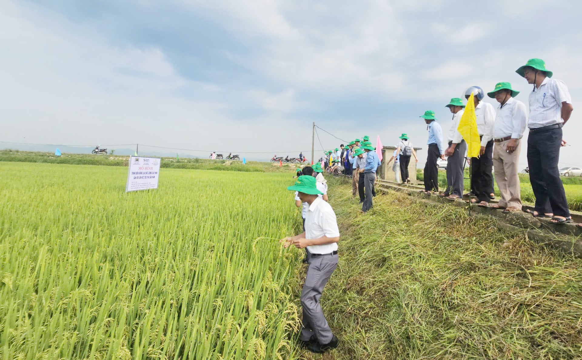 Các đại biểu tham quan mô hình trình diễn giống lúa chất lượng cao TH998 tại Hợp tác xã Mỹ Lộc Thượng. Ảnh: T. Đức.