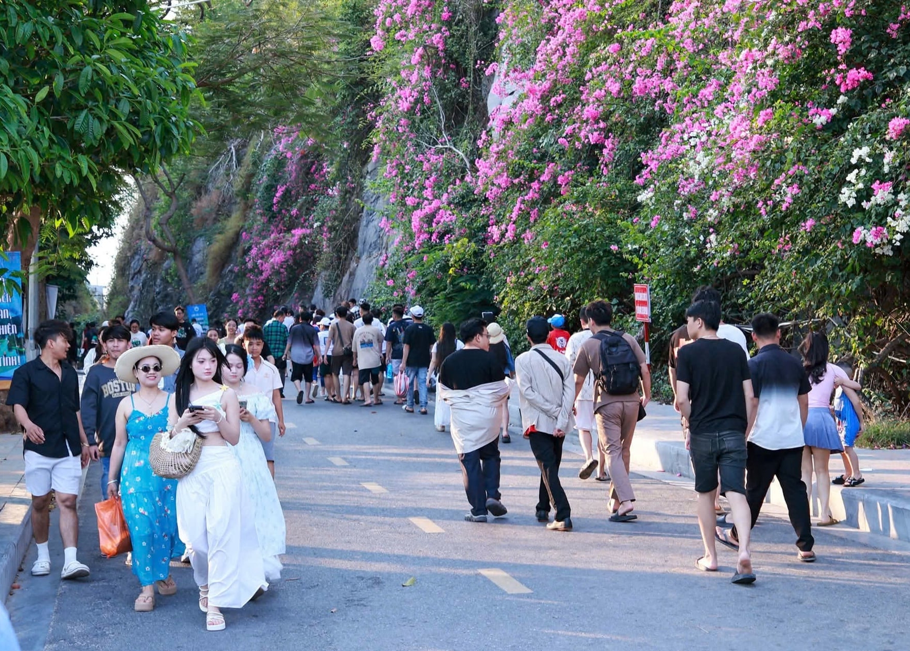 Việc kết nối thông tuyến với vịnh Hạ Long (Quảng Ninh) bước đầu diễn ra thuận lợi, tạo điều kiện cho các tour tham quan vịnh Lan Hạ tăng mạnh. Ảnh: Xuân Thủy.