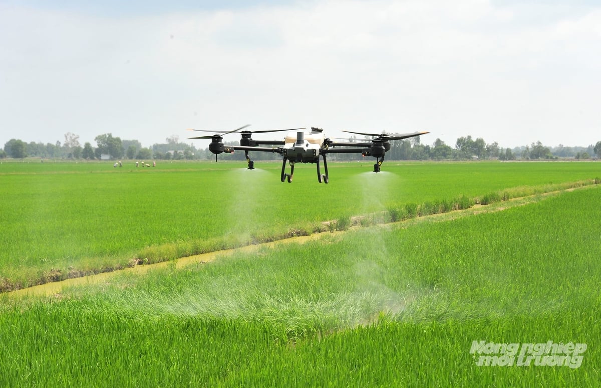 The application of digital technologies helps reduce labor costs, optimize input use, and improve production efficiency toward green and sustainable agriculture. Photo: Le Hoang Vu.