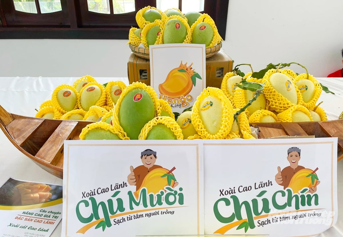 Mangoes are packaged with QR codes for traceability, using digital technology to ensure transparency in the production process, enhance product value, and meet export market standards. Photo: Le Hoang Vu.