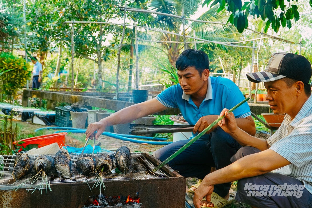 Grilling snakehead fish. Photo: Kim Anh.