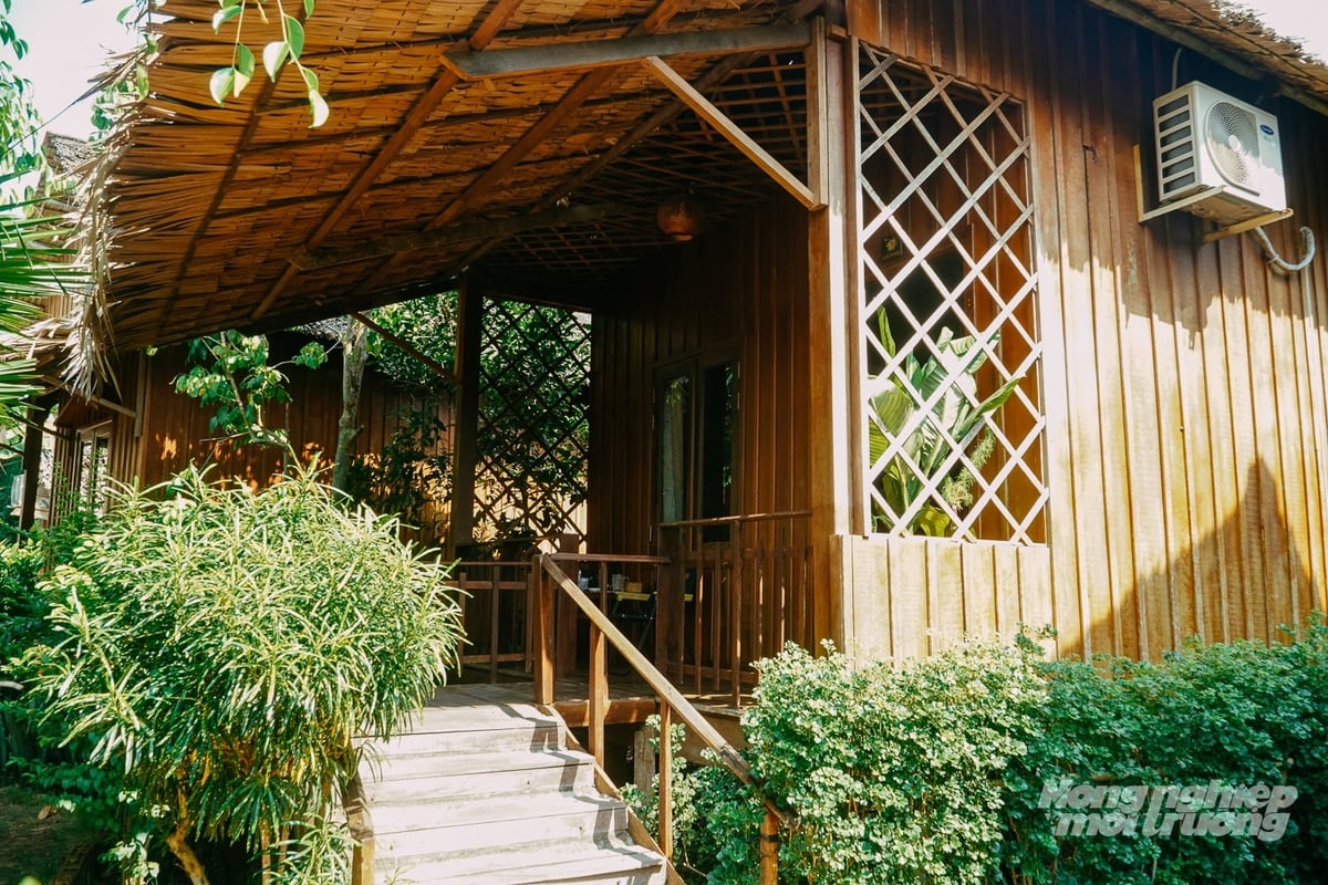 A green space corner at Muong Dinh Homestay. Photo: Kim Anh.