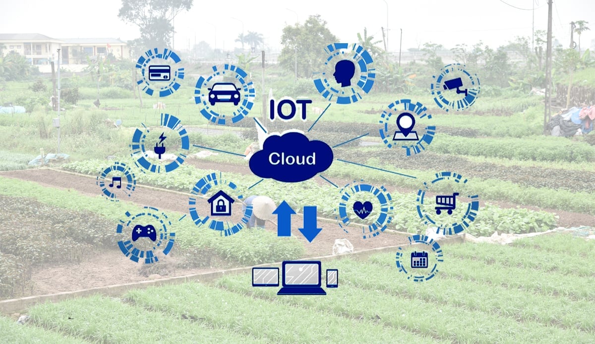 Hà Nội đặt mục tiêu đến năm 2030 có 50% vùng sản xuất hàng hóa tập trung ứng dụng IoT ở mức cơ bản.
