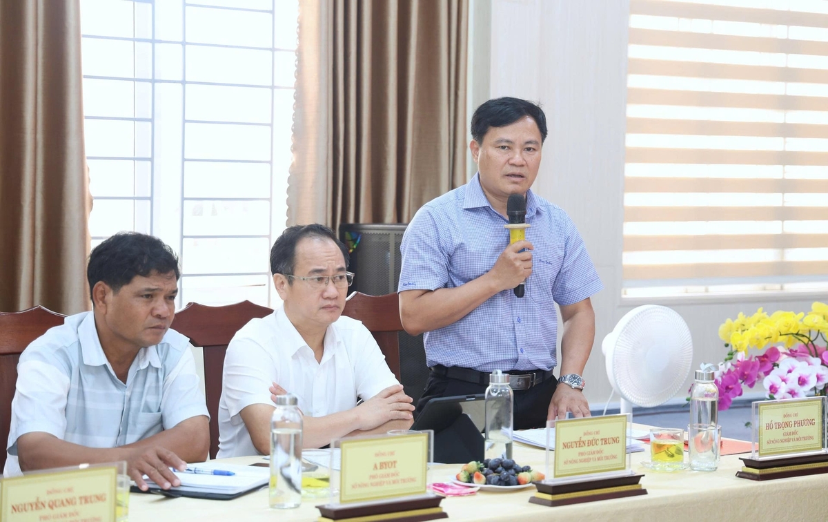 Ông Hồ Trọng Phương, Giám đốc Sở Nông nghiệp và Môi trường tỉnh Quảng Ngãi cho biết, trong bối cảnh còn nhiều khó khăn, thách thức, ngành vẫn đang duy trì đà tăng trưởng ổn định, Ảnh: L.K.