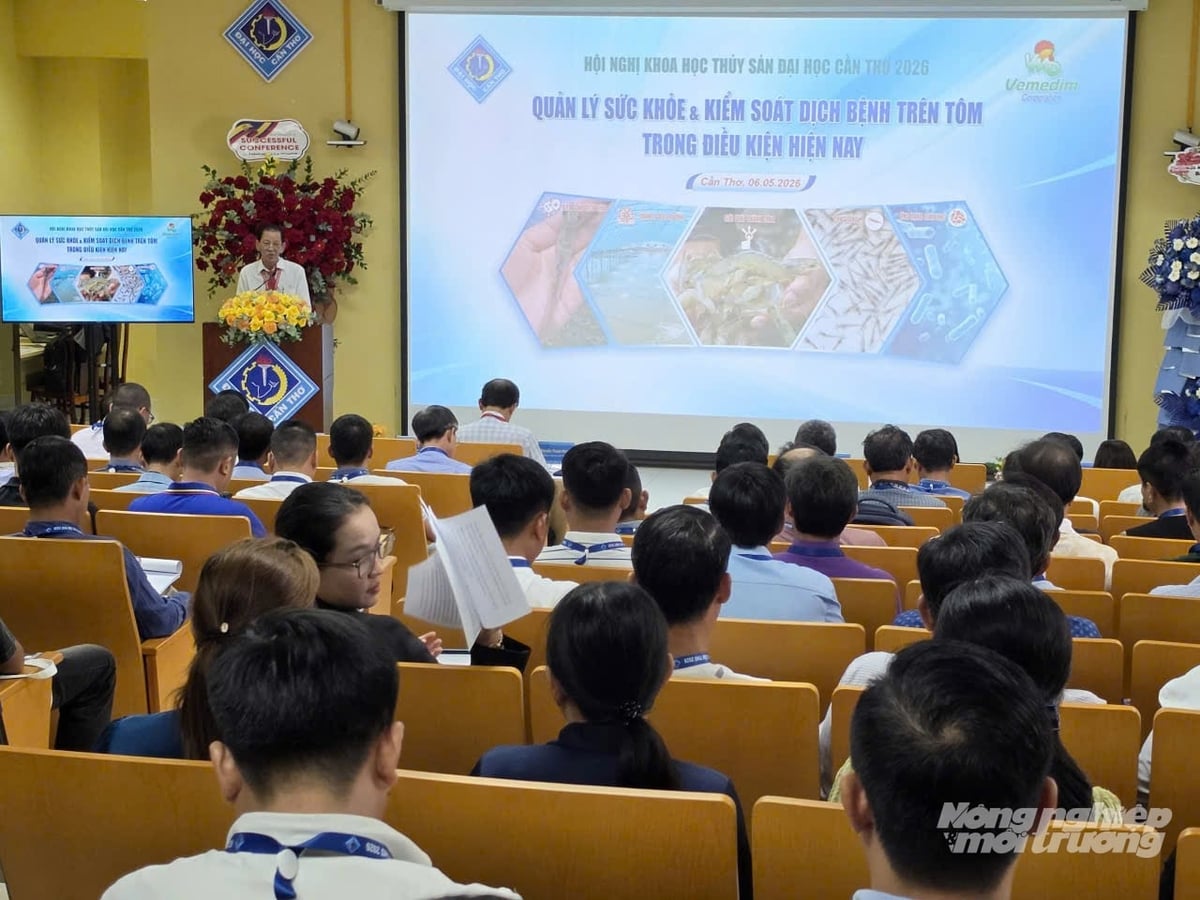 Hội nghị Khoa học thủy sản Đại học Cần Thơ 2026 với chủ đề 'Quản lý sức khỏe và kiểm soát dịch bệnh trên tôm trong điều kiện hiện nay'. Ảnh: Lê Hoàng Vũ.