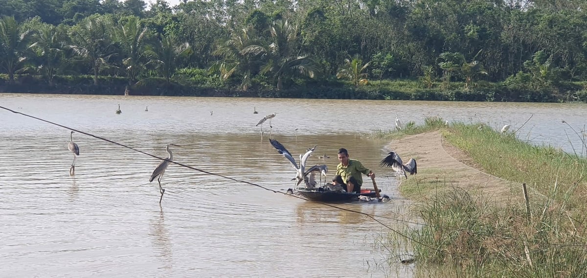Nhiều cá thể động vật hoang dã có cơ hội trở về môi trường sống tự nhiên sau khi được lực lượng chức năng giải cứu. Ảnh: Quán Dũng.
