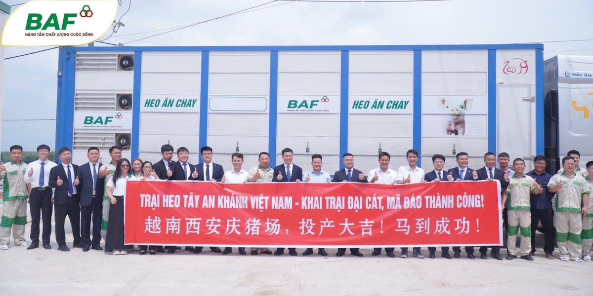 Từ ngày 8/5/2026, dự án chăn nuôi công nghệ cao Tây An Khánh (tỉnh Tây Ninh) chính thức đi vào vận hành. Ảnh: BAF.