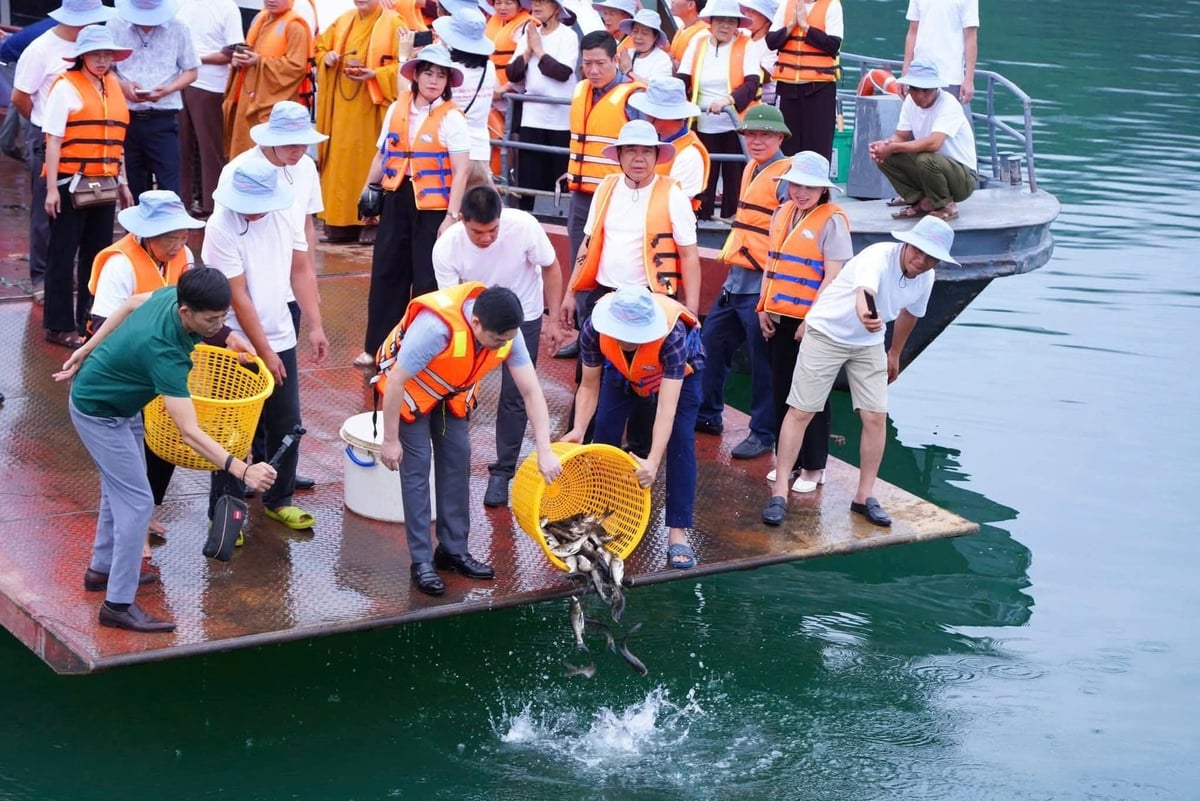 Đại diện sở Nông nghiệp và Môi trường Phú Thọ cùng Giáo hội phật giáo tỉnh Phú Thọ (khu vực Hòa Bình) tổ chức thả hàng vạn con cá giống xuống Hồ thủy điện Hòa Bình. Ảnh: An Nhiên. 