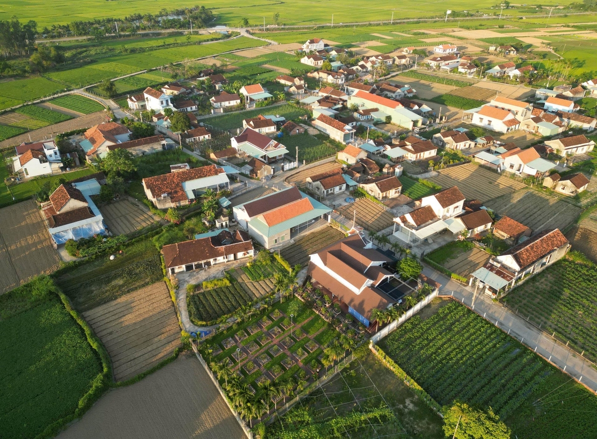 Nhận thấy tiềm năng về nông nghiệp của vùng đất Thuận Nghĩa nên tứ tổ dòng họ Quách là ông Quách Hội Đồng liền sang tiệm buôn ở An Thái, đưa gia đình về Thuận Nghĩa định cư, lập nghiệp từ nghề nông. Ảnh: V.Đ.T.