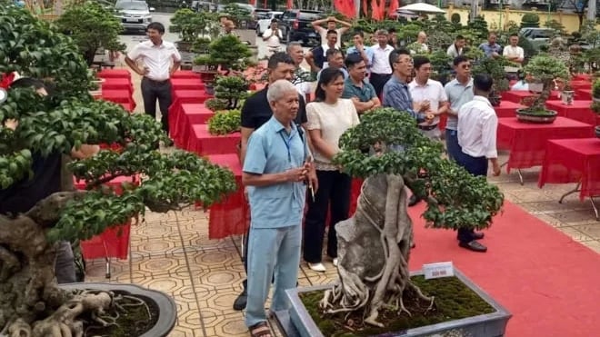 Hoạt động triển lãm, thi bon sai nghệ thuật trong khuôn khổ hội thảo. Ảnh: Nguyễn Bá Lâm.