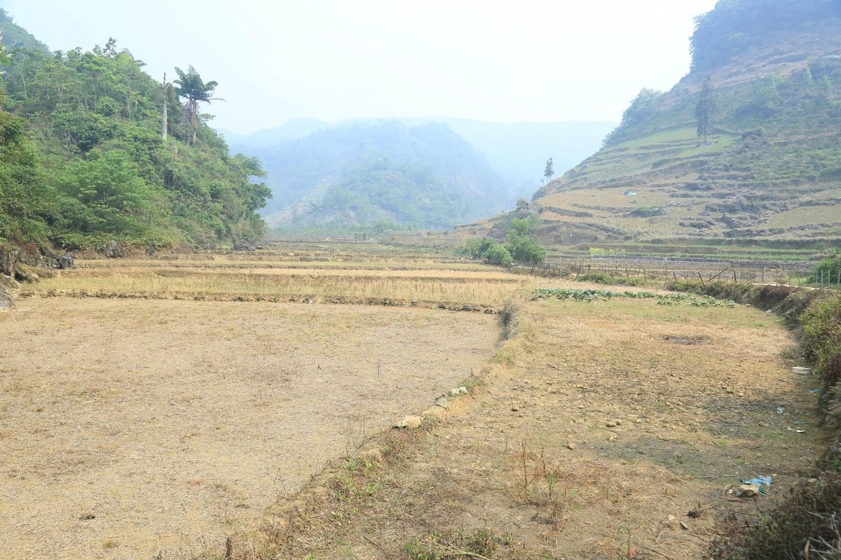 Tình trạng khô hạn kéo dài nhiều tháng trong năm ở Pha Long. Ảnh: Thanh Tiến.