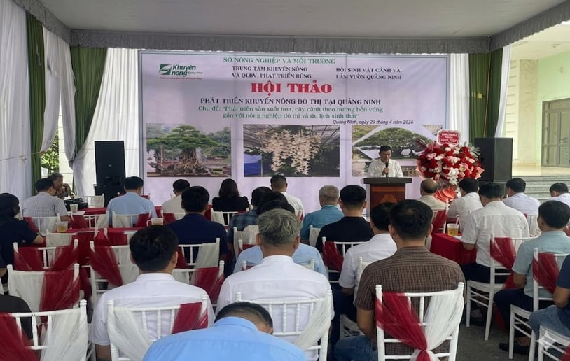 Quang cảnh hội thảo. Ảnh: Nguyễn Bá Lâm.