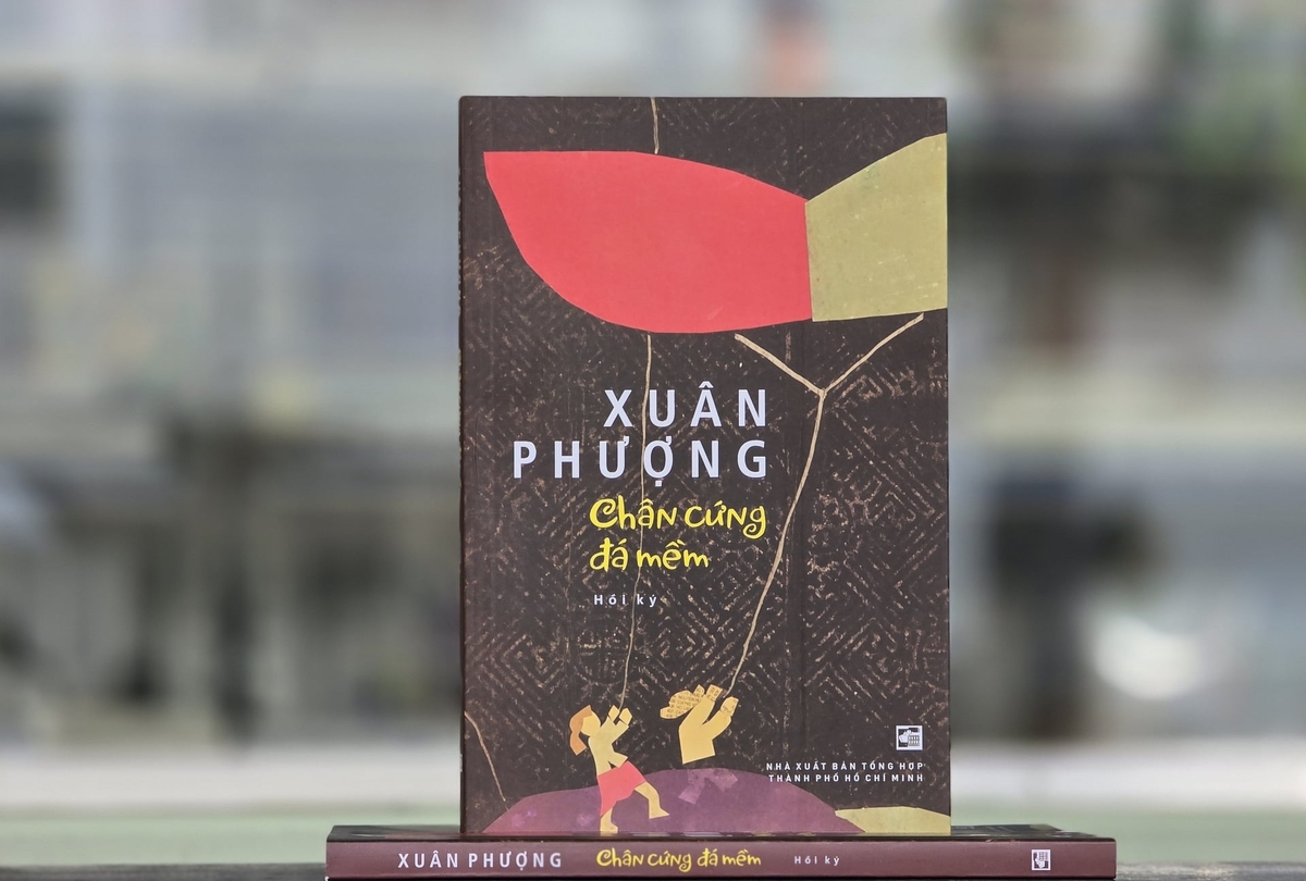 Hồi ký điện ảnh 'Chân cứng đá mềm'. Ảnh: T.H