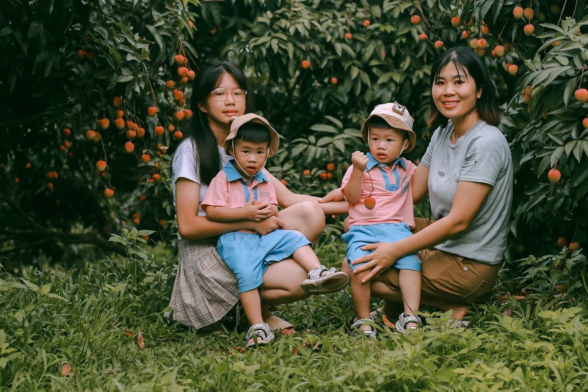 Những vườn vải đẹp của Bắc Ninh thu hút du khách, góp phần đẩy mạnh du lịch trải nghiệm. Ảnh: Phạm Tú.