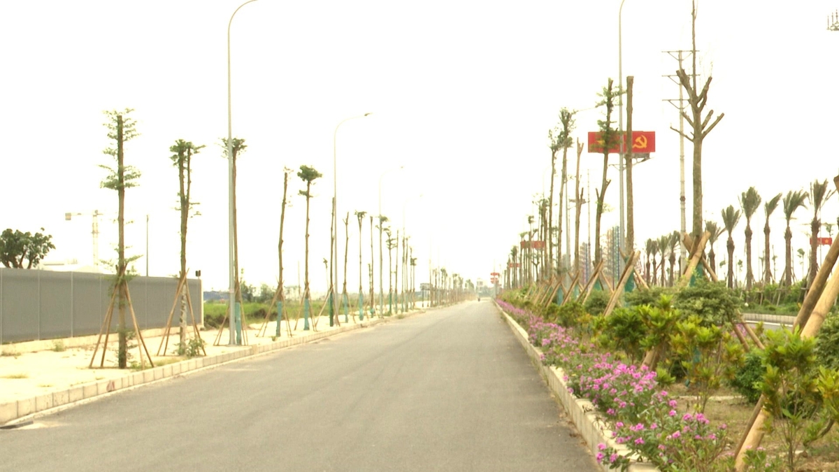 Nhiều cây xanh tiếp tục được trồng trên các trục đường của khu công nghiệp. Ảnh: Trần Văn.