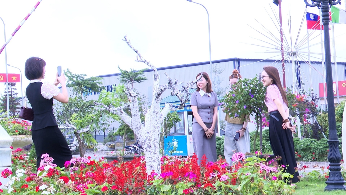 Không gian xanh giúp người lao động được thư giãn sau giờ làm việc. Ảnh: Trần Văn.
