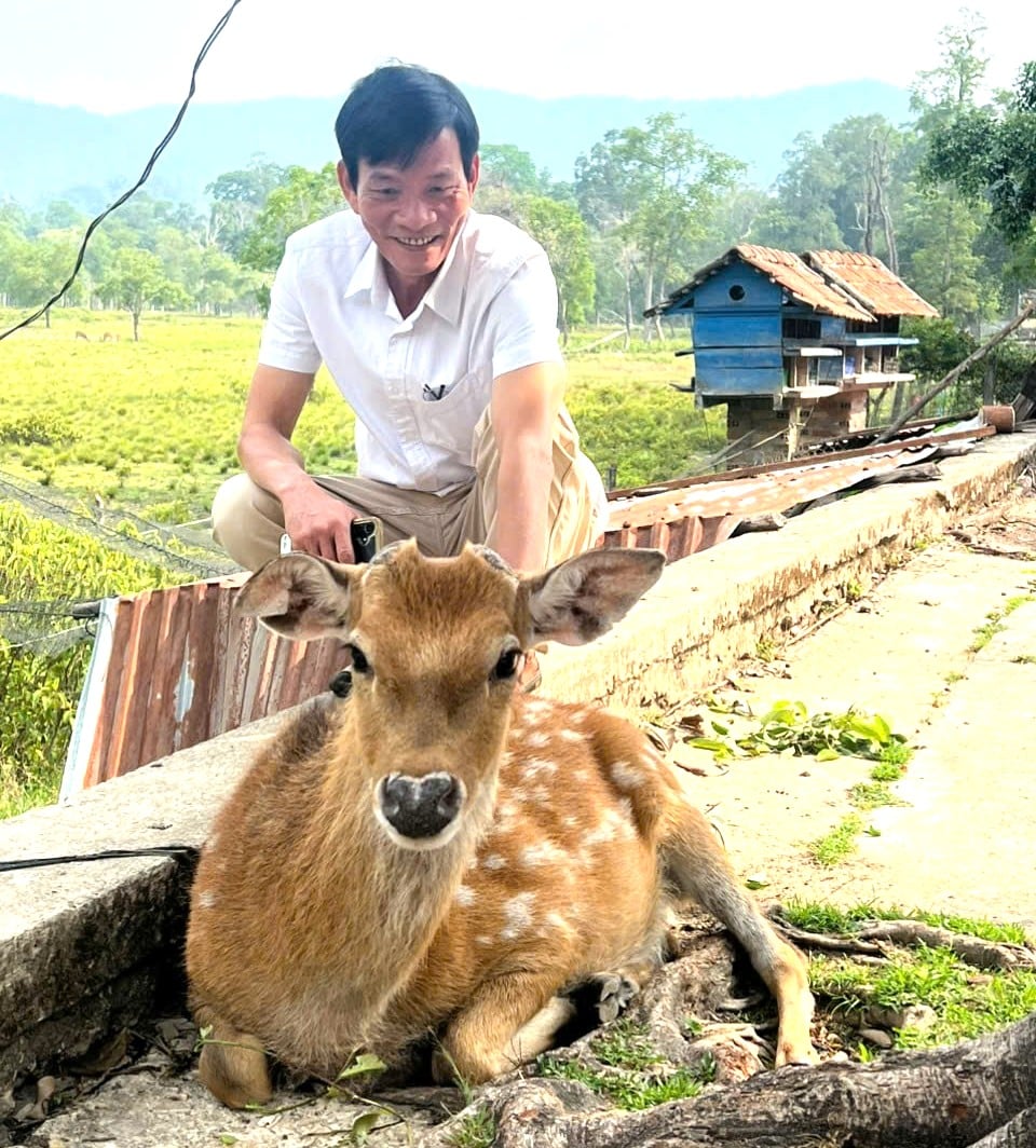 Một cá thể hươu sao thân thiện ở Vườn Quốc gia Konkakinh. Ảnh: Tuấn Anh.