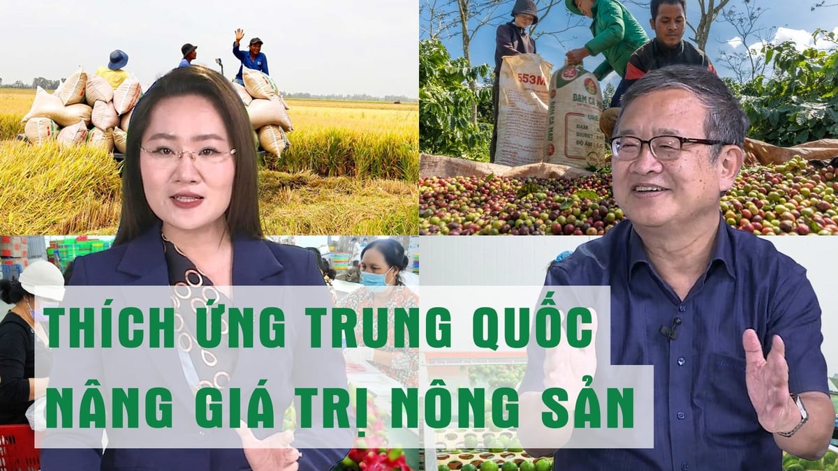 ANH