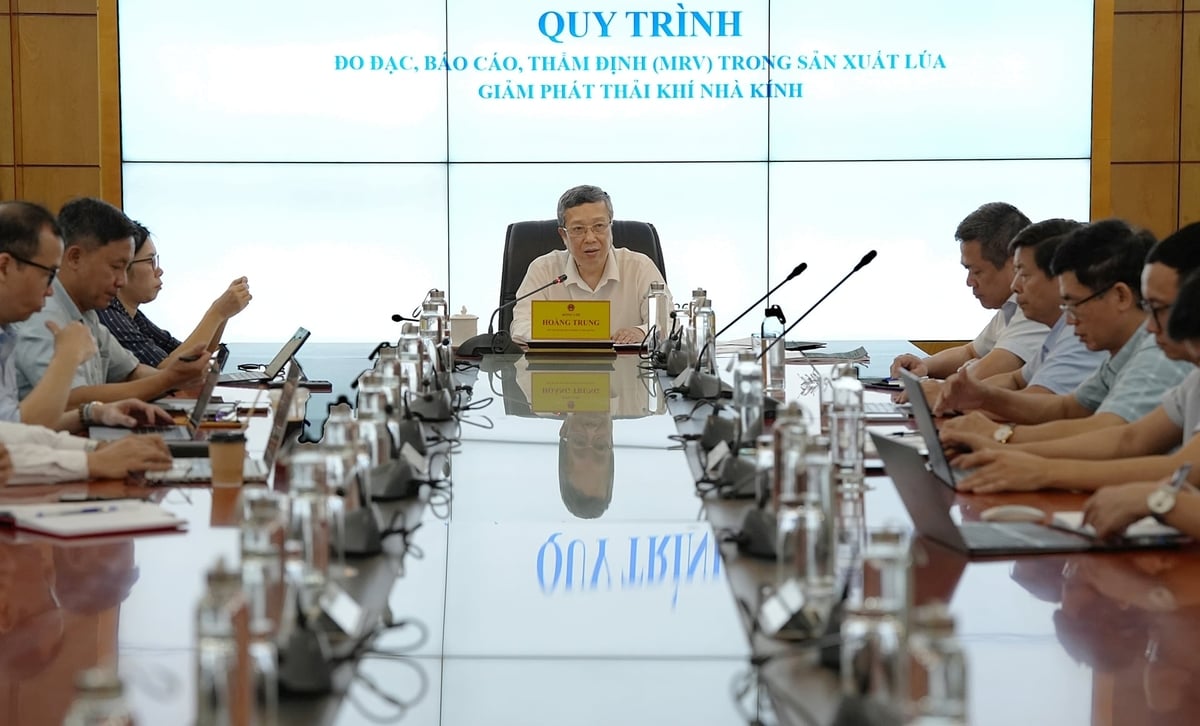Thứ trưởng Hoàng Trung chủ trì phiên họp hoàn thiện Dự thảo Quy trình sản xuất lúa giảm phát thải và Quy trình MRV. Ảnh: Bảo Thắng.