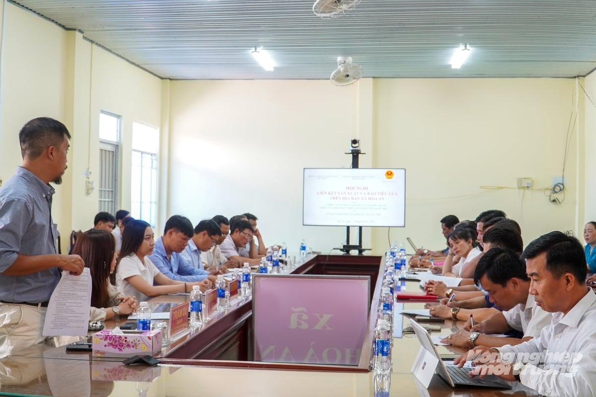 Đại diện doanh nghiệp chia sẻ phương án liên kết sản xuất và bao tiêu lúa, dựa trên khảo sát nhu cầu và nguyện vọng liên kết của nông dân xã Hòa An. Ảnh: Kim Anh.