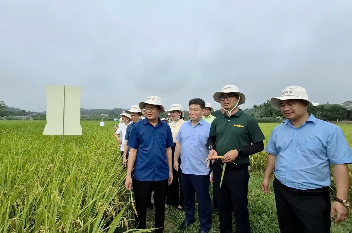 Các đại biểu tham quan mô hình trình diễn. Ảnh: Đào Thanh.