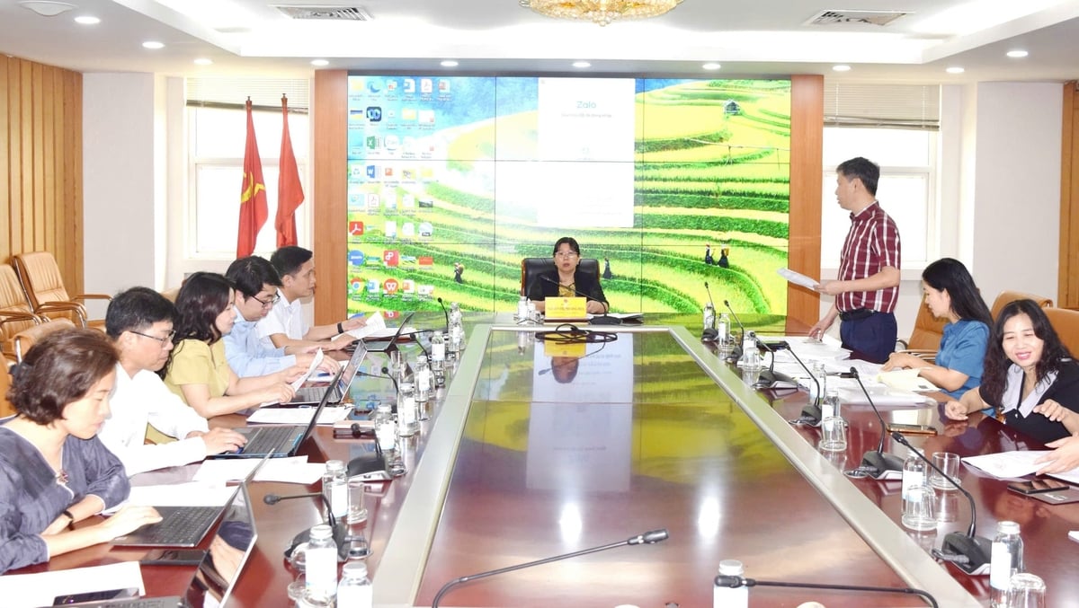 Các thành viên Hội đồng đã thảo luận, đánh giá khách quan từng hồ sơ, tập trung làm rõ hiệu quả thực tiễn, khả năng nhân rộng và mức độ tác động của các sáng kiến, đề tài đối với ngành Nông nghiệp và Môi trường. Ảnh: Trường Giang.