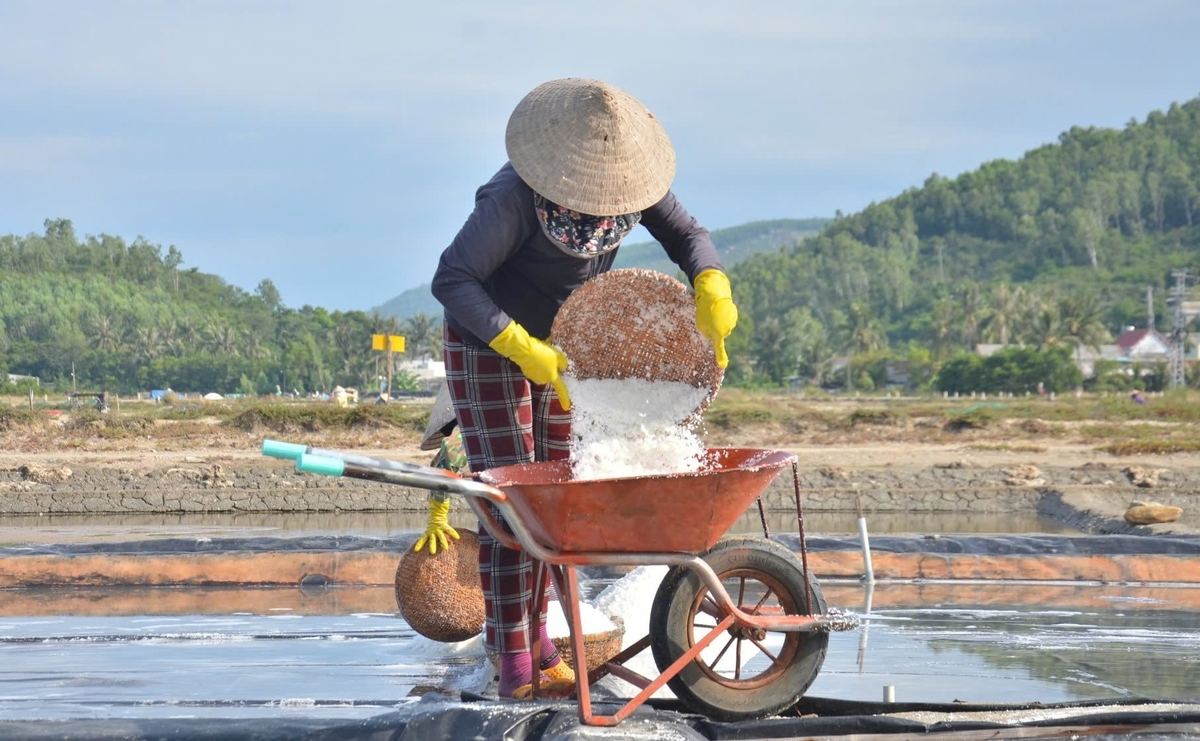Tỉnh Quảng Ngãi phấn đấu đến năm 2030 có 100% diện tích sản xuất muối sạch. Ảnh: L.K.