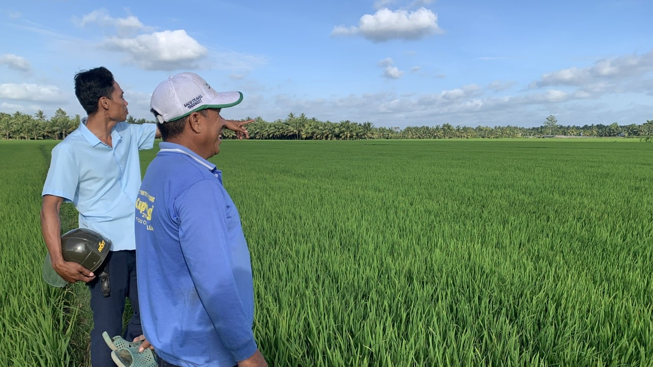 Lực lượng khuyến nông địa phương thường xuyên hỗ trợ người dân trong sản xuất nông nghiệp. Ảnh: Hồ Thảo.