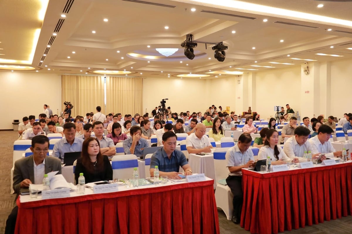 Tham dự hội nghị có đông đủ quý đại biểu từ trung ương đến địa phương. Ảnh:&nbsp;Phương Chi.