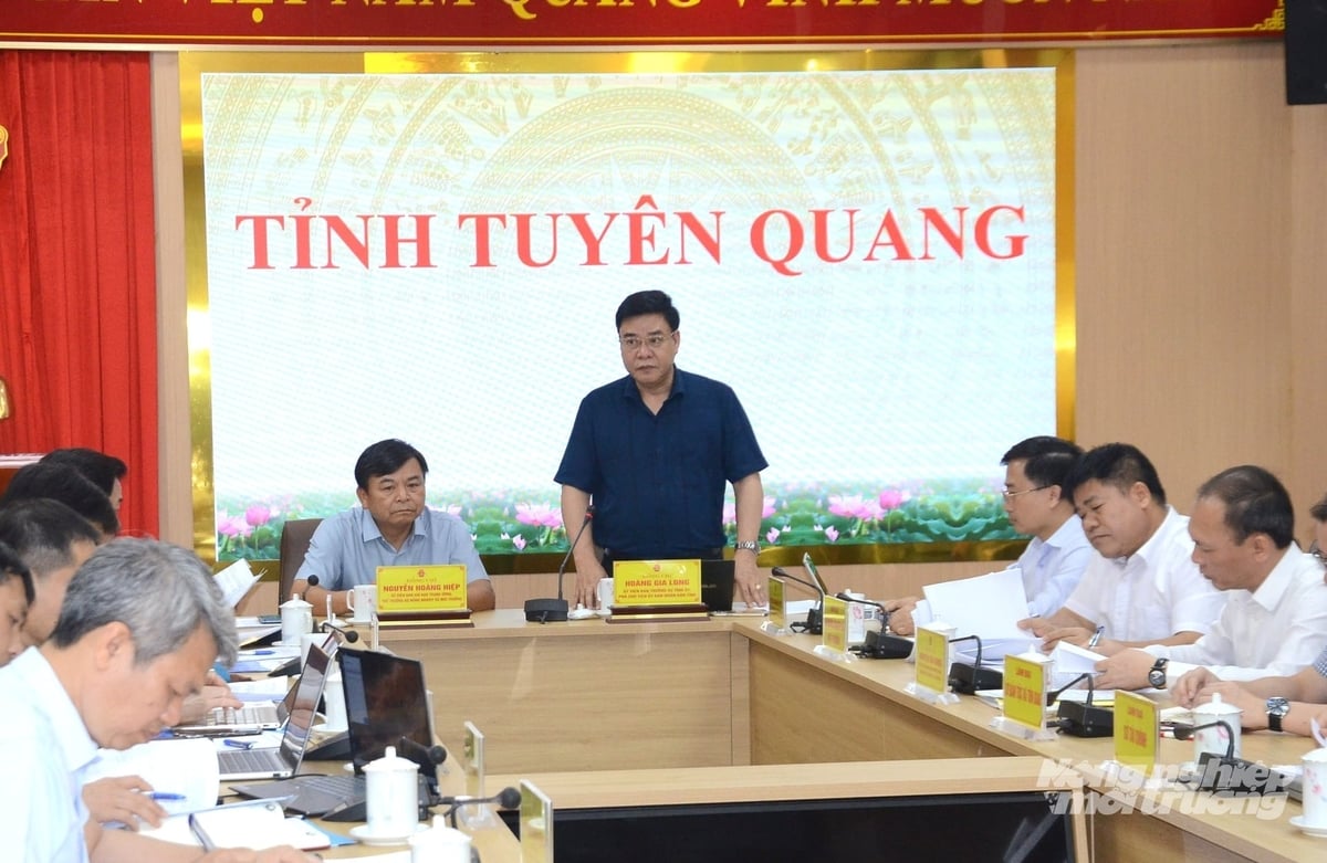 Ông Hoàng Gia Long, Phó Chủ tịch UBND tỉnh Tuyên Quang, phát biểu tại buổi làm việc. Ảnh: Đào Thanh.