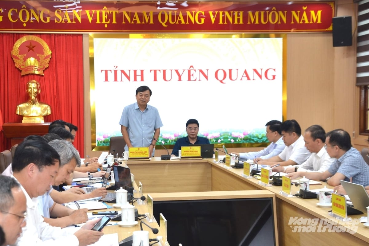 Thứ trưởng Bộ Nông nghiệp và Môi trường Nguyễn Hoàng Hiệp cùng đoàn công tác làm việc với tỉnh Tuyên Quang về tình hình triển khai các chương trình mục tiêu quốc gia. Ảnh: Đào Thanh.