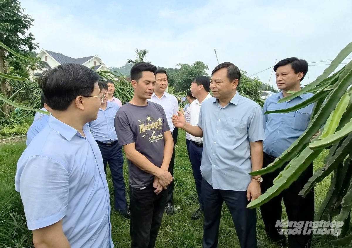 Các đại biểu tham quan mô hình trồng cây thanh long ruột đỏ của HTX Hưng Thịnh, tại thôn Cây Cọ, xã Sơn Thủy có diện tích 20 ha. Ảnh: Đào Thanh.