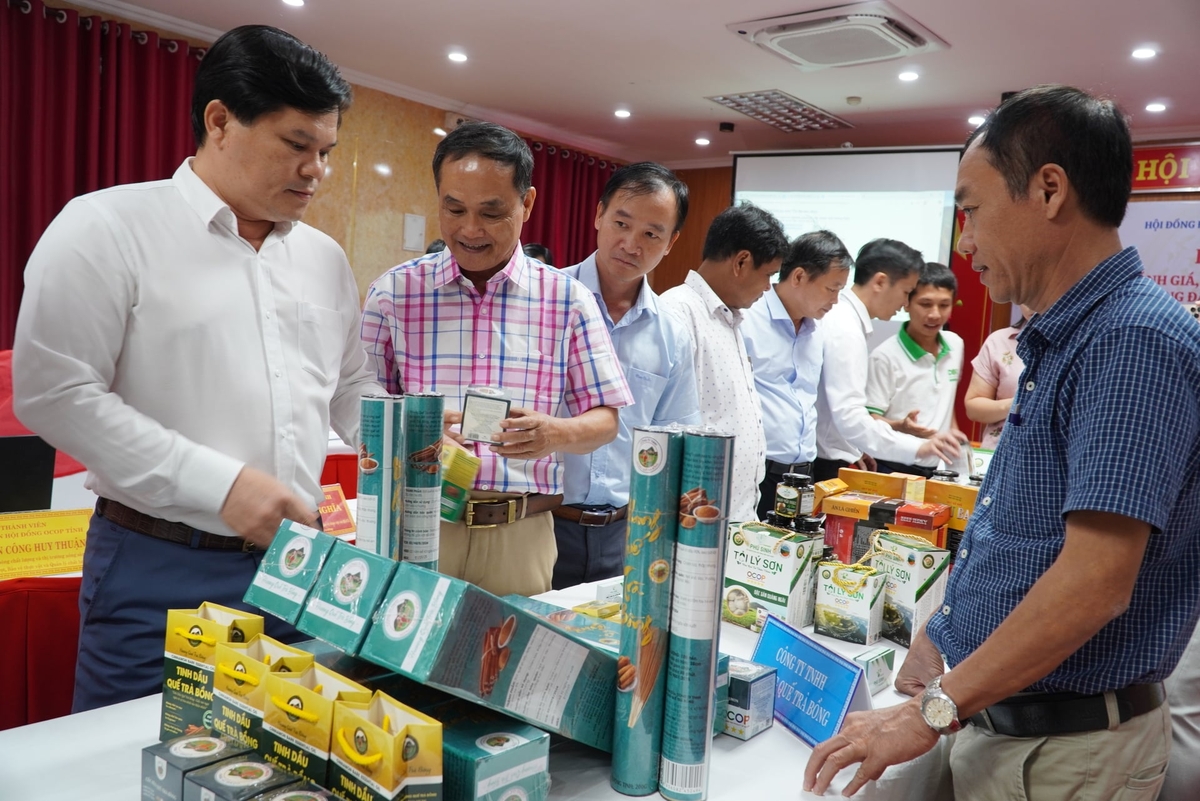 Tỉnh Quảng Ngãi hiện có 619 sản phẩm OCOP còn thời hạn công nhận. Ảnh: L.K.