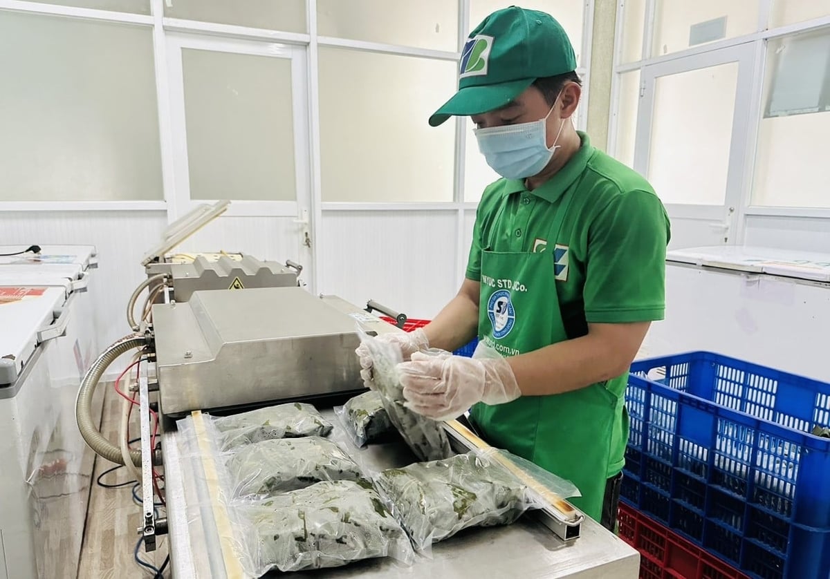 Tỉnh Quảng Ngãi không chỉ đặt mục tiêu tăng số lượng sản phẩm OCOP mà còn hướng đến xây dựng chuỗi giá trị bền vững, gắn với thị trường tiêu thụ. Ảnh: L.K.