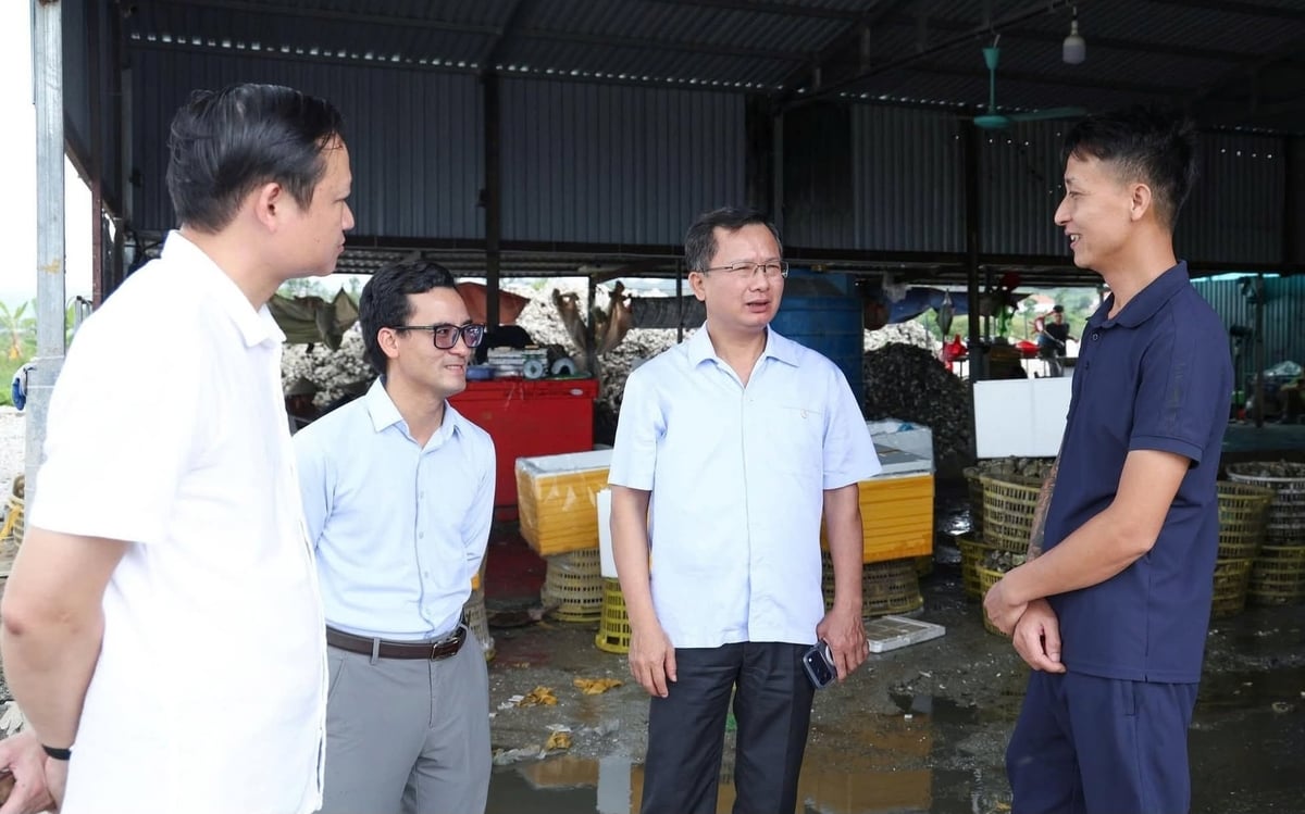 Ông Cao Tường Huy nắm bắt tình hình sản xuất của cơ sở chế biến thủy sản tại khu vực Đông Xá. Ảnh: Ngân Hà. 