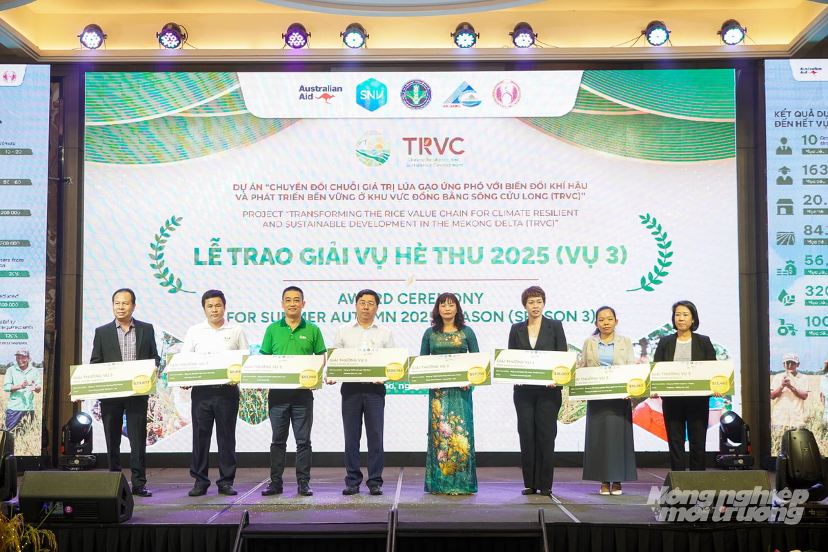 The TRVC project honored leading companies participating in partnerships with farmers growing low-emission rice. Photo: Kim Anh.