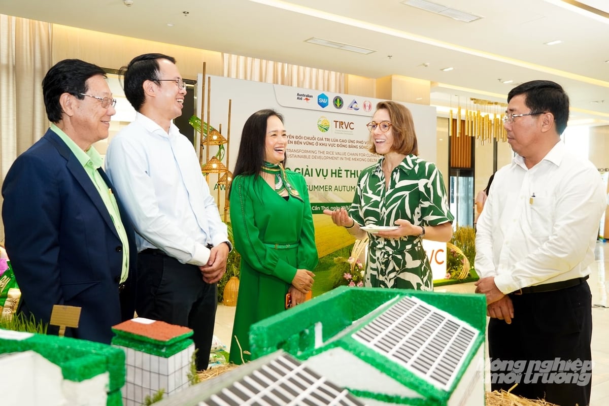 PAN Group is among the pioneering businesses organizing integrated rice production chains, combining resources to provide sustainable farming solutions. Photo: Kim Anh.