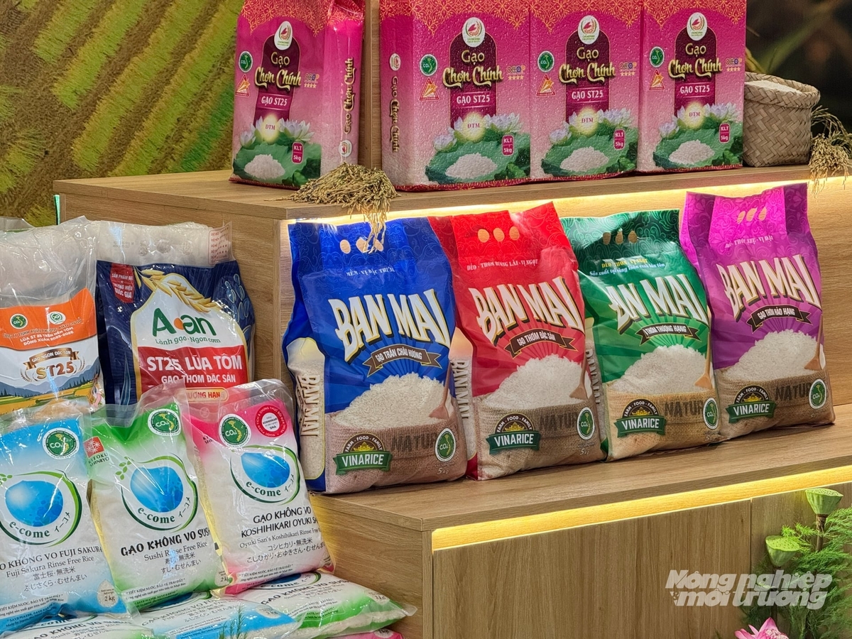 Low-emission rice products developed through the TRVC project have been granted the 'Viet Nam Green Low-Emission Rice' label by the Vietrisa. Photo: Kim Anh.