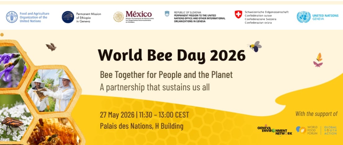 FAO sẽ tổ chức lễ kỷ niệm Ngày Ong Thế giới 2026 tại Geneva vào ngày 27/5, với chủ đề 'Bảo vệ ong vì con người và hành tinh'. Ảnh: FAO.