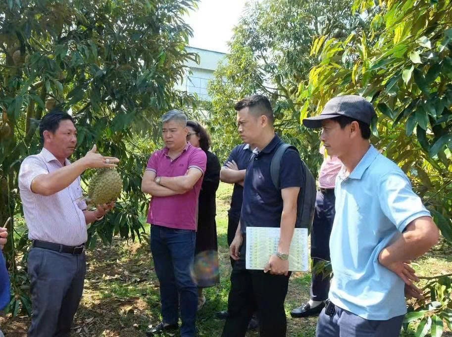 Ông Lê Minh Tâm (trái) nói, ngay khi Bộ Nông nghiệp và Môi trường triển khai chương trình thí điểm hệ thống truy xuất nguồn gốc, doanh nghiệp đã chủ động đăng ký tham gia vì xác định đây sẽ là yêu cầu bắt buộc trong tương lai gần. Ảnh: Minh Đảm.