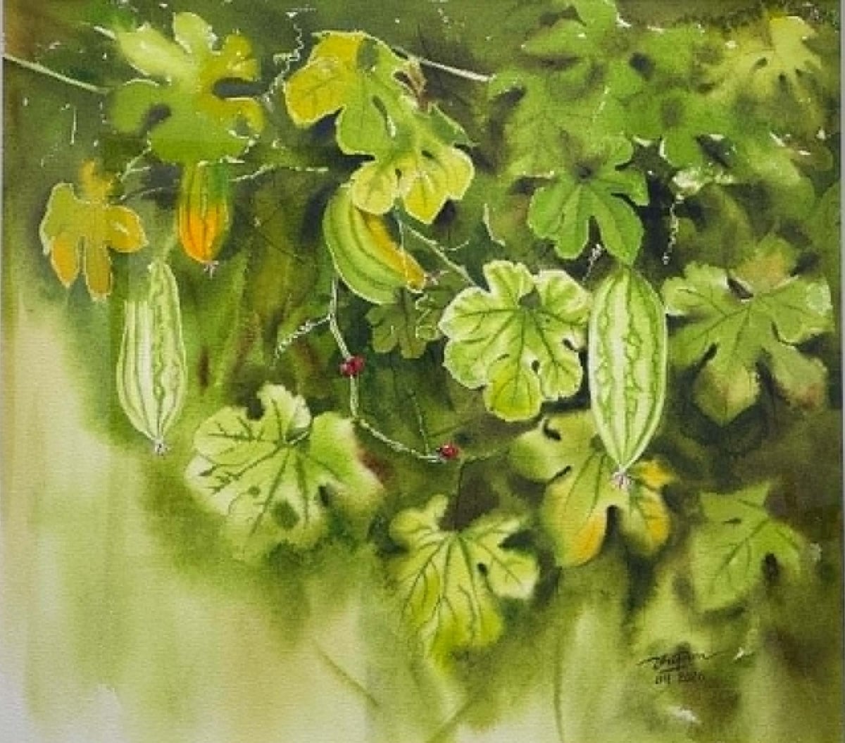 'Khổ qua' của Vũ Thành Tâm.