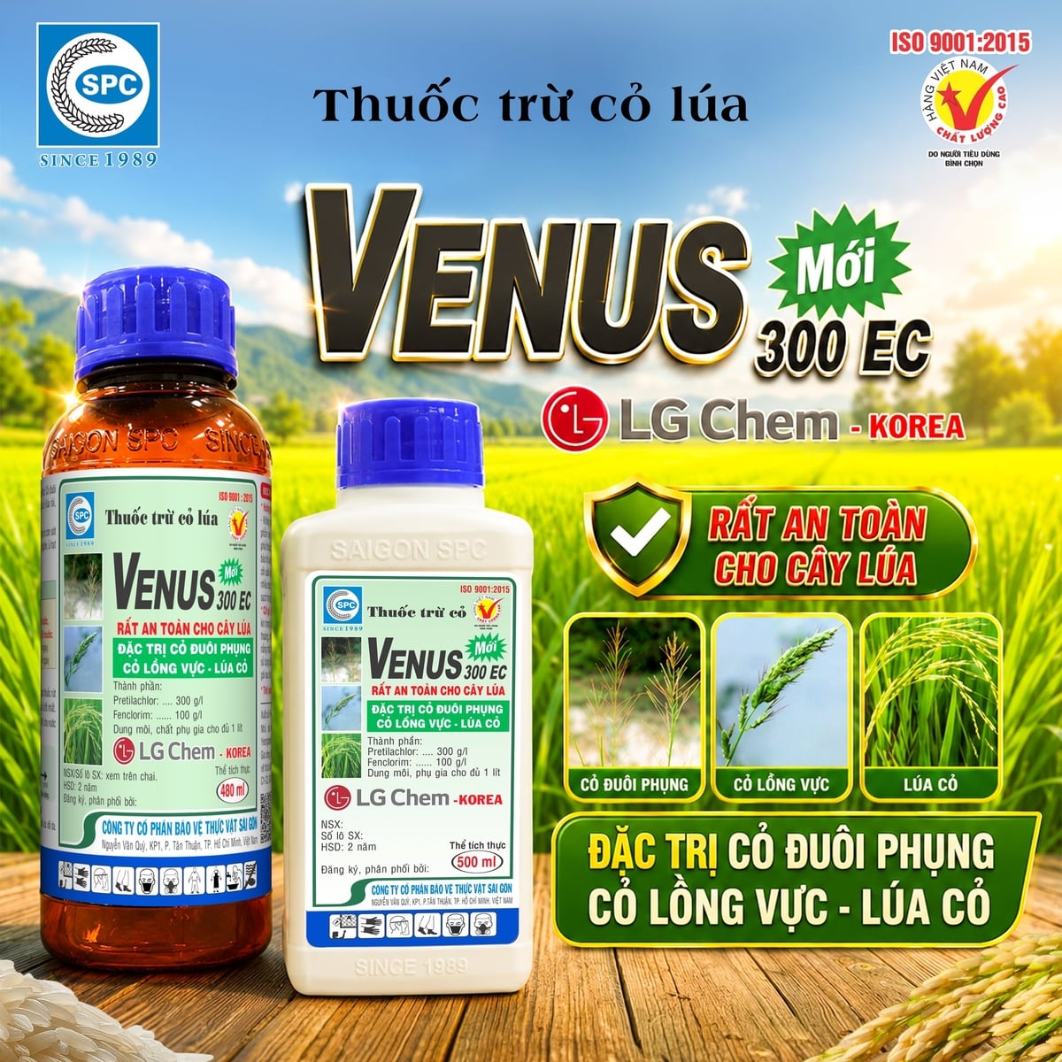 Thuốc trừ cỏ Venus 300EC diệt được nhiều loại cỏ trên ruộng lúa. Ảnh: SPC.