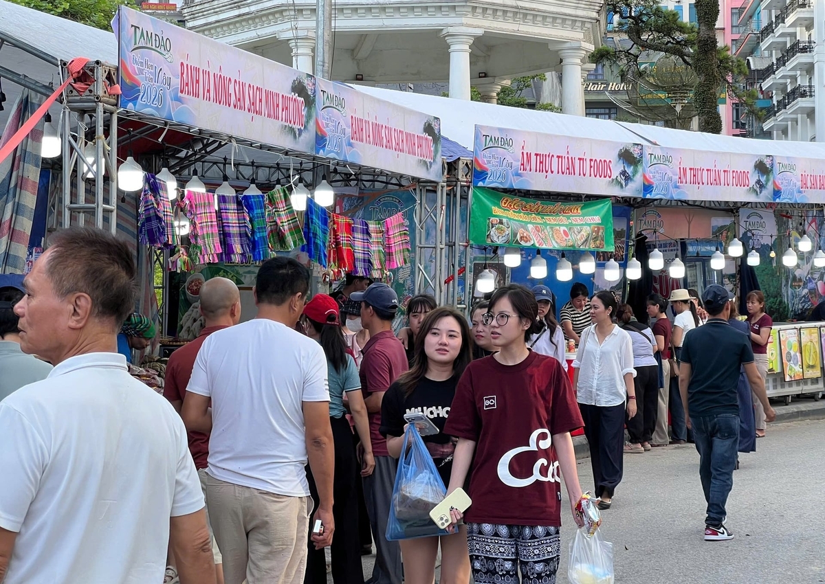 Sự kiện thu hút nhiều du khách lưu trú. Từ sáng sớm 23/5, tại các gian trưng bày đã rất đông du khách. Ảnh: ĐH. 