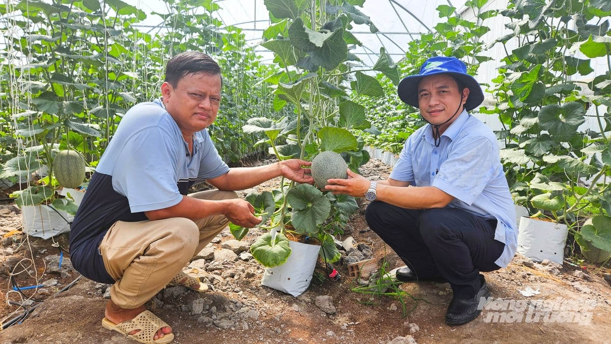 Cán bộ phường Long Bình tham quan, trao đổi mô hình trồng dưa lưới nhà kính tại HTX Minh Anh, hướng đến nhân rộng sản xuất nông nghiệp sạch trên địa bàn. Ảnh: Văn Vũ.