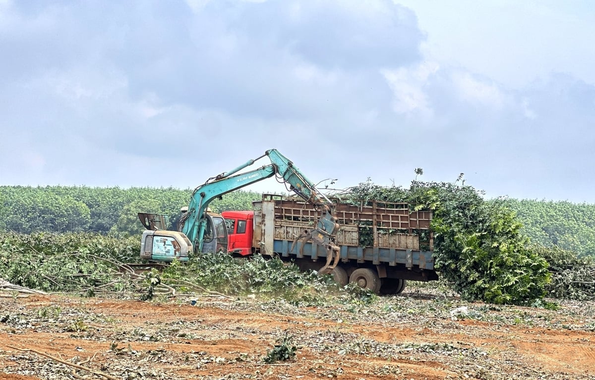 Gấp rút thi công giải phóng mặt bằng. Ảnh: Đăng Lâm. 