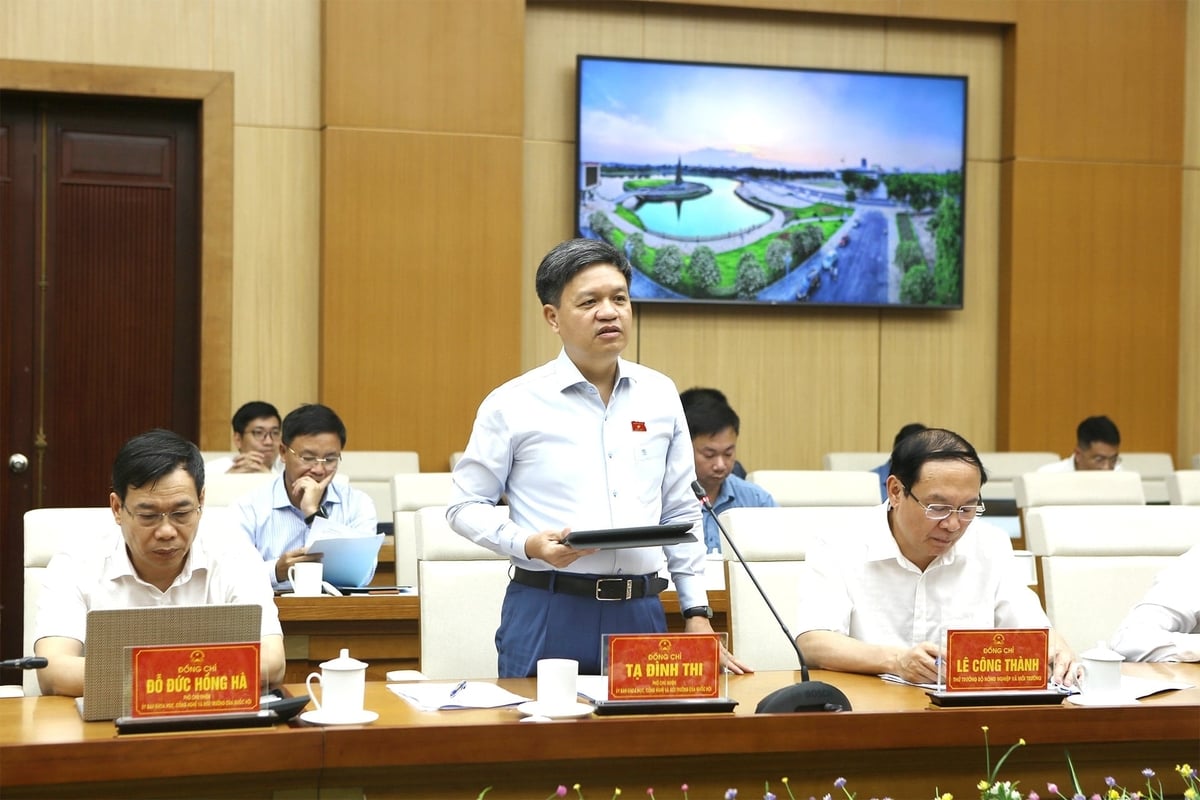 Phó Chủ nhiệm Ủy ban Khoa học, Công nghệ và Môi trường Tạ Đình Thi phát biểu tại cuộc làm việc. Ảnh: Khương Trung.